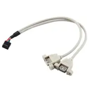 25cm 2x USB 2.0 A Female to Motherboard 9 Pin Header Female Connector Cable