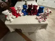 Ty Beannie Buddy Bear Collection (8)
