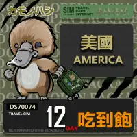 在飛比找momo購物網優惠-【鴨嘴獸 旅遊網卡】Travel Sim 美國 加拿大 12