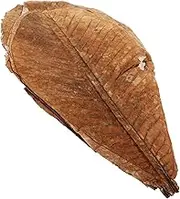 Dried Leaf for Sushi Plate Pcs Sashimi Plate Decorations DIY Leaf Decor for Food Display