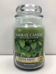 NEW Yankee Candle Large Jar 22oz Fresh Mint | White Label Retail RETIRED HTF