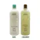 【AVEDA】純香/迷迭薄荷洗髮精 1000ml(兩款任選 平行輸入)