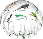Different Types Of Lizard Print Various Activities Shower Cap Reusable Soft And Lightweight Bath Hair Cap Long Hair