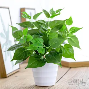 仿真植物 仿真綠蘿盆栽室內仿真植物塑料小盆栽裝飾綠植仿真花草假植物綠蘿領券更優惠