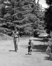 ANDY GRIFFITH TELEVISION OPENING SCENE "GOING FISHING" 11X14 POSTER RON HOWARD