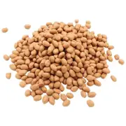 Shopwindow Lifelike Fake Peanut Nuts Simulation Peanut Kernels Layout Nuts Decor