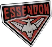 Fan Emblems Essendon Bombers Lensed Chrome AFL Supporter Logo