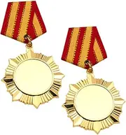 BIUDECO Blank Medal 4 Pcs Sports Medals Trophy Soccer Stickers Graduation Gold Medals Badges Gold Award Sticker Canada Winner Award Medals Prizes Competition Medal Alloy Honor Medal Alloy Award Medal