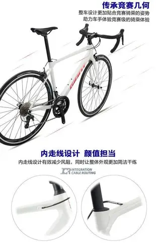 GIANT捷安特TCR SL 2輕量鋁合金成人變速彎把競速公路自行車 海王藍亮黑 S(適合身高167-173cm)