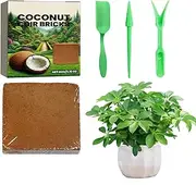 Coco Fiber Bricks | Organic Planting Substrate,Water-Retentive Bricks Gardening Accessories, Reusable Garden Supplies for Potting Mix Transplanting Indoor Plants