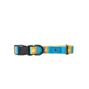 Gold Coast Titans NRL Dog Collar