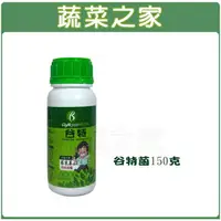 在飛比找樂天市場購物網優惠-【蔬菜之家002-A41】谷特菌150克(新蔡18菌)