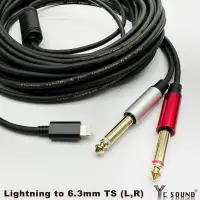 在飛比找蝦皮購物優惠-正品 蘋果 Lightning 轉 6.3 TS 2RCA梅