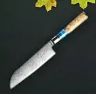 Santoku Knife Damascus Steel VG10 Core Resin Wood Handle Beef Slicing Chef Gyuto