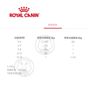 《 ROYAL CANIN 法國皇家》 FHNW 皇家離乳貓與母貓專用濕糧BC34W 195克【培菓寵物】