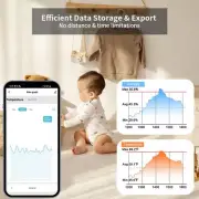 Check Anytime Anywhere Smart Sensor Mini Weather Station 2-Year Data Export