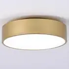 Modern Gold Flush Mount Ceiling Light, 2-Lights round Ceiling Light, Minimalisti