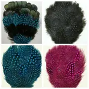 GUINEA / PHEASANT PAD - Various Colors ; Headband/Hats/Craft/Halloween/Trim