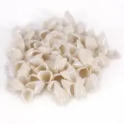 50Pcs Dental Front Teeth Temporary Oral Care Resin Crown Anter NEY