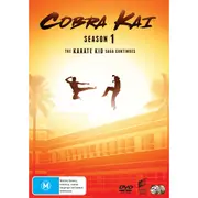 Cobra Kai - Season 1
