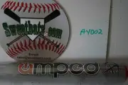 2020 ANARCHY AMPED Softball Bat 25 100 mph AS20UAM-2 USSSA J Williams Signature