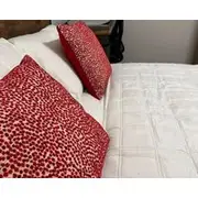 Comfy Studio Room And Workspace