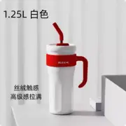 1.25L Tumblers With Handle Insulated Mugs With Lids And Straws White