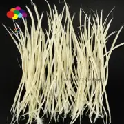 Goose Feathers 20-25cm 8-10 inch Carefully Crafted Smooth Dyed Milk white Juju