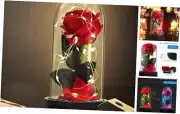 Beauty and The Beast Rose Gifts,Preserved Rose Enchanted Rose Monther’s Day Red