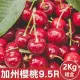 【WANG 蔬果】美國加州9.5R櫻桃2kgx2盒(2kg/盒_禮盒組)