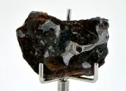 12.61g SERICHO Pallasite Meteorite Beautiful End Cut - TOP METEORITE