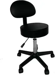 Salon Chair Bar Swivel Stool Office Roller Wheels Portable Leather with Back Rest Black
