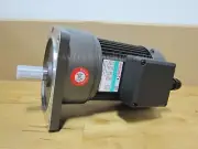 Sesame Motor Chip Auger G12V200S-90 3 Phase 220V/380V Ratio 1:90