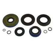 All Balls Differential Seal Only Kit - 25-2123-5