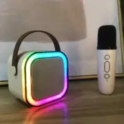 High-end Bluetooth Home Karaoke Machine with Microphone - Enjoy Hours of Fun!