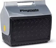 Ice Cooler 14 Qt Portable Chest Box Lunch Food Drinks Beer Work BBQ Beach Travel