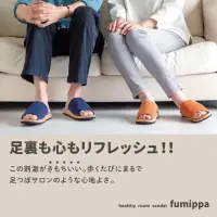 在飛比找蝦皮購物優惠-預購｜日本fumippa 健康穴道按摩室內拖鞋