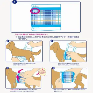 unicharm 禮貌帶 日本嬌聯 寵物尿布 生理褲 消臭大師禮貌帶 狗狗適用 寵物用品