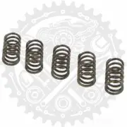 EBC Clutch Spring Kit (5) Fits Kawasaki H1 500 Mach 1969-1975
