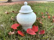 Tinaja para Obatala / Toureen for Obatala - Ocha/Osha