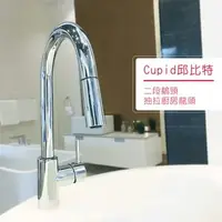 在飛比找特力屋線上購物優惠-水美．Cupid 邱比特兩段鵝頸抽拉廚房龍頭