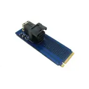 U.2 SSD Mini SAS SFF-8643 to M.2 PCIe Adapter