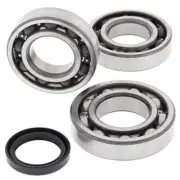 Fits 2004 Polaris Magnum 330 2x4 Crankshaft Bearing Kit 656148