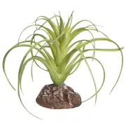 Reptile One Plant Mini Exserta Green w/ Ceramic Base 8cm (46831)