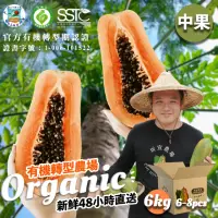 在飛比找momo購物網優惠-南投埔里紅肉木瓜6公斤x1箱（6-8顆/箱）(有機栽培 產地