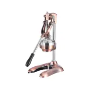 SOGA Stainless Steel Manual Juicer – Gold