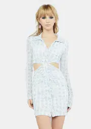 Picked Fresh Mesh Dress