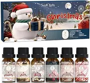 SoulOrigin Christmas Essential Oils Set, Fragrance Oil Gift Set for Oil Diffusers, Scented Oils Candle Making 6x10ml- Christmas Cake, Eggnog, Candy Canes, Gingerbread, Mistletoe, and Christmas Pudding