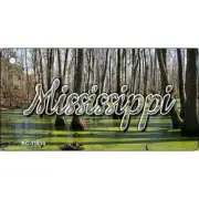 Mississippi Swamp Key Chain KC-11610