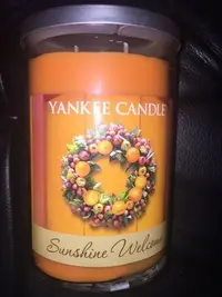 在飛比找Yahoo!奇摩拍賣優惠-【西寧鹿】YANKEE CANDLE 22OZ SUNSHI